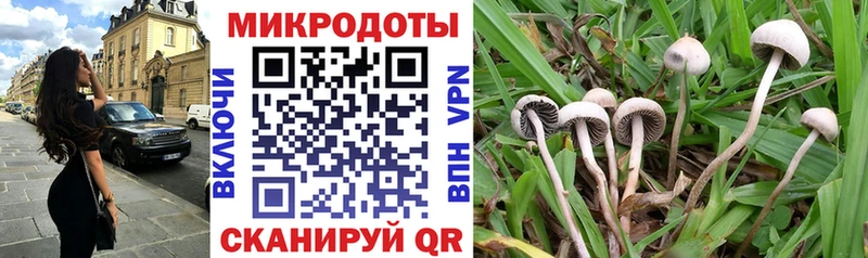 Псилоцибиновые грибы Magic Shrooms Ессентуки