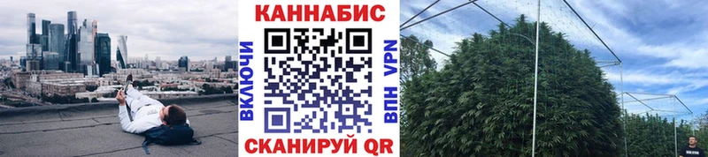 Шишки марихуана ГИДРОПОН  где продают   Ессентуки 